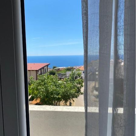 Apartments Wild Beauty - Krimovica Budva Kültér fotó